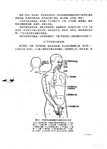十二经脉3.jpg
