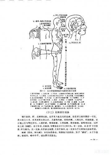 十二经脉13.jpg