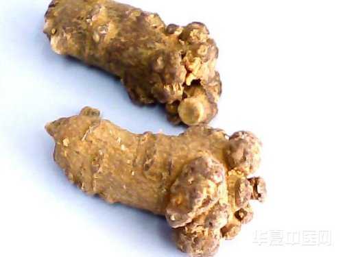 图片 015.jpg