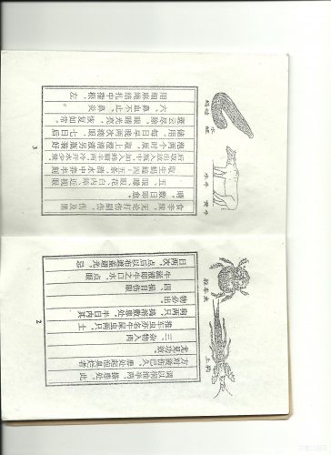 图像 (4).jpg