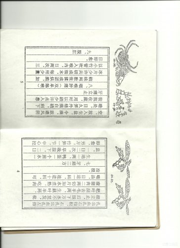 图像 (5).jpg