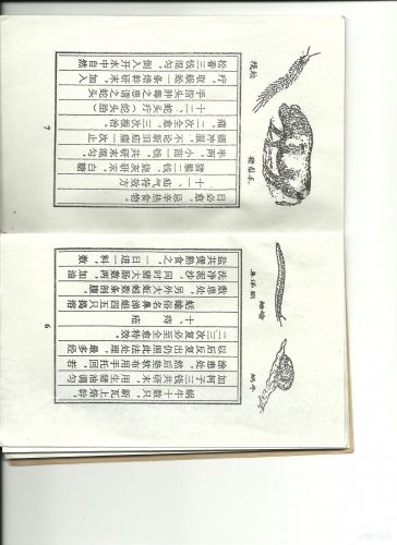 图像 (6).jpg