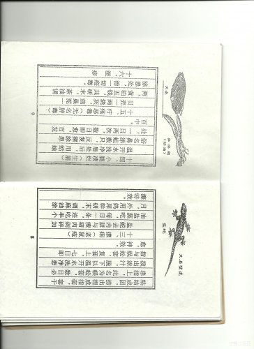 图像 (7).jpg