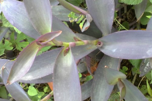 20110803105-001.jpg