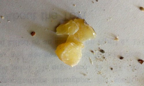 IMAG2557.jpg