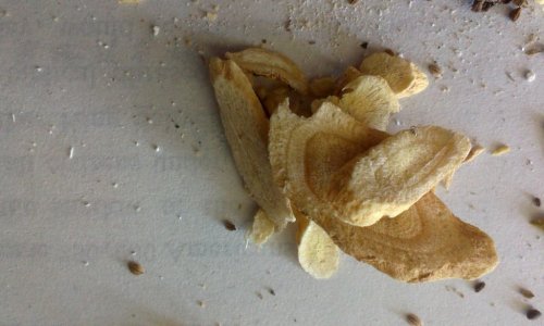 IMAG2558.jpg