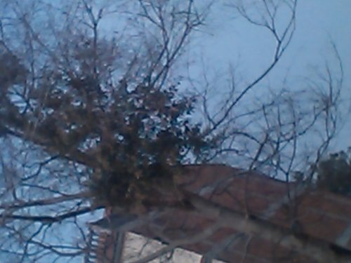 IMG_20140202_133110_0.jpg