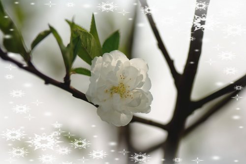 AHB_0263_副本.jpg