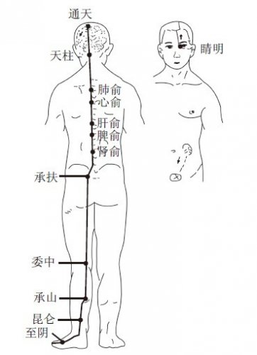 膀胱经.jpg