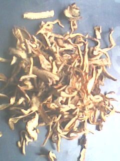IMG0236A.jpg