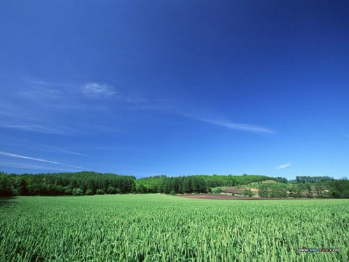 nature_land-photography_11330_m.jpg