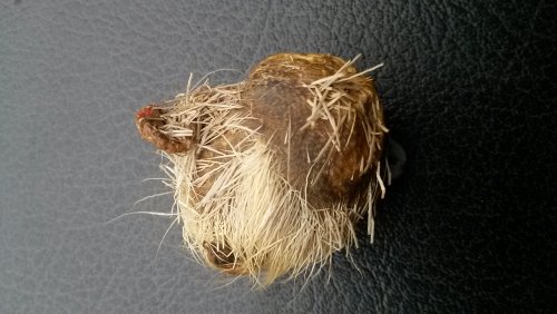 20140313_104809.jpg