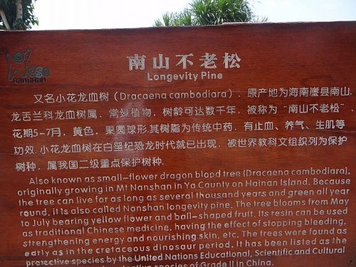 DSC06065_conew1.jpg