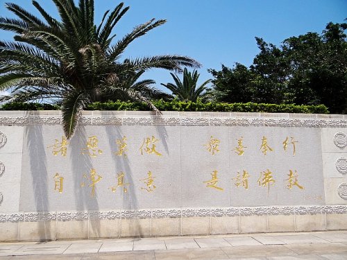 DSC06059_conew1.jpg
