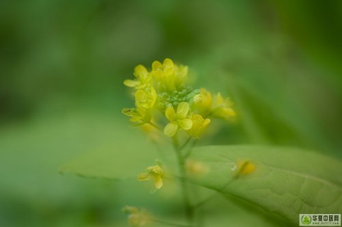 _DSC0884.jpg