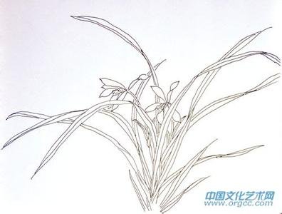 兰11.jpg