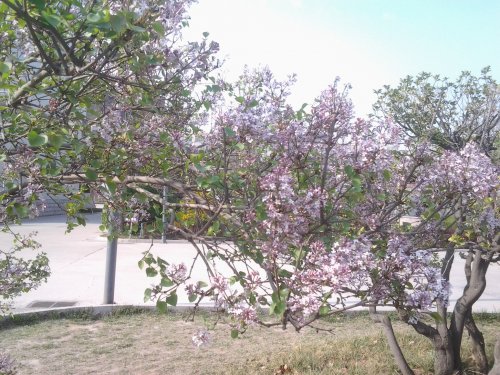 照片0561.jpg