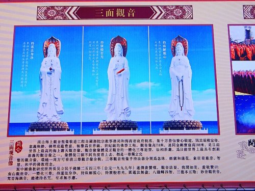 DSC06044_conew1.jpg