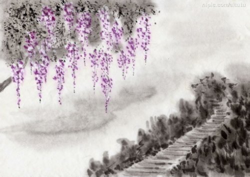 小花1.jpg