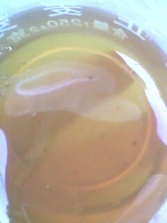 IMG0251A.jpg