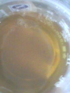 IMG0250A.jpg