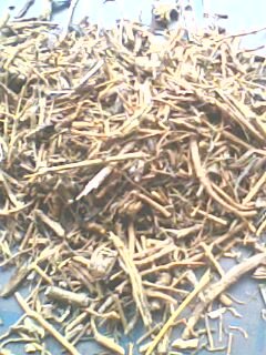 IMG0252A.jpg