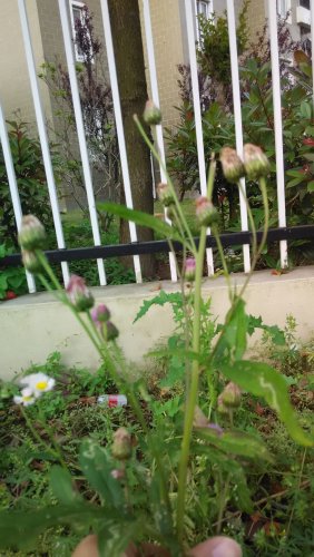 IMG_20140513_060016.jpg