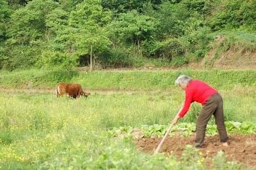 DSC01148_conew1.jpg
