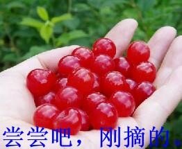 好棒.jpg