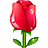 玫瑰花.gif