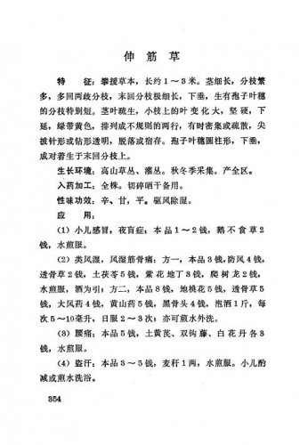 伸筋草4.jpg