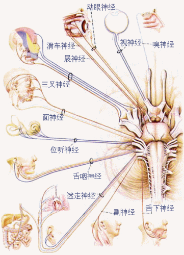 200905082330478488.gif