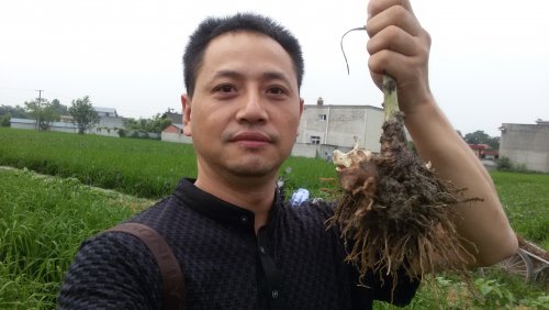 20140622_070247.jpg