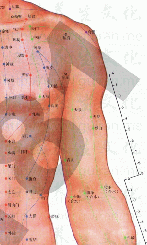 psb (5).gif