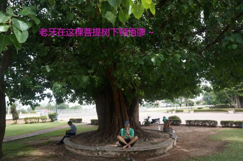 顿悟.jpg