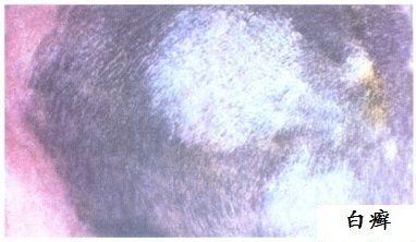 011.jpg