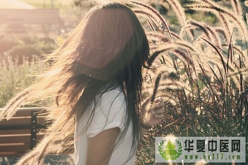 草本1.jpg