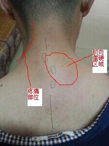 QQ图片20140811191012.jpg