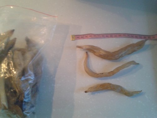 20140806_183556.jpg