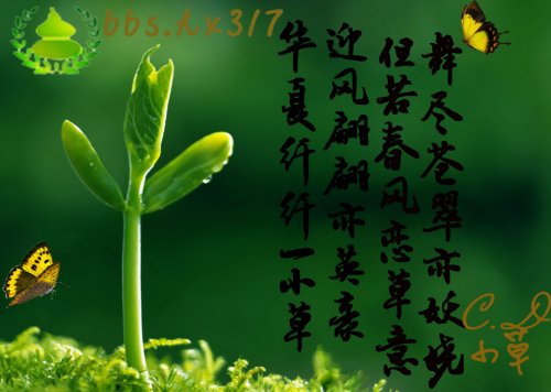 c21副本.jpg
