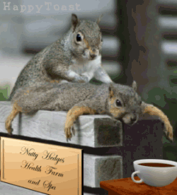 20081223_327a319abfb8a6a01263BDV7fVf1IyZg.gif