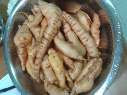 20140924_180455.jpg