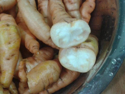 20140924_180513.jpg