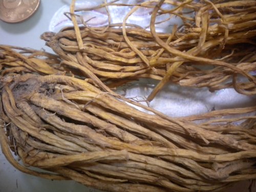 DSCN5275.JPG