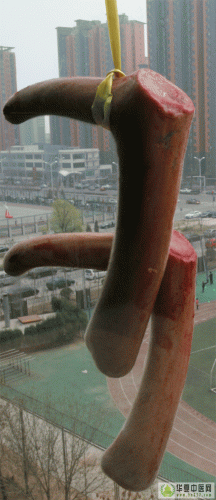 1.gif
