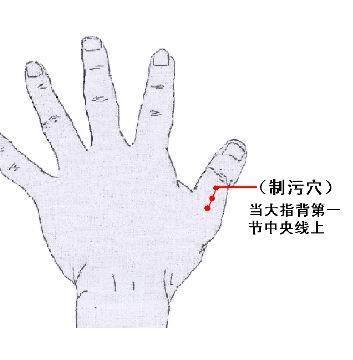 01.jpg