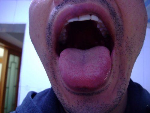 DSCF7440.jpg