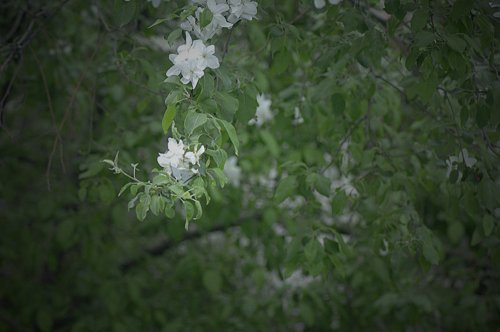 _AHB0031_副本.jpg