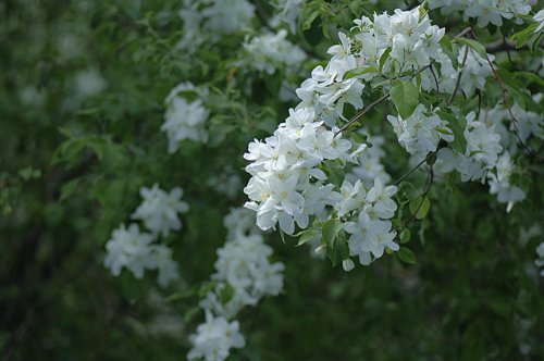 _AHB0014_副本.jpg
