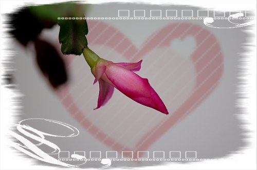 AHB_0051_副本.jpg